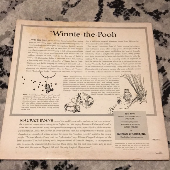 Host Pick Bundle of Vintage Disney Winnie the Pooh Vinyls - Picture 5 of 13